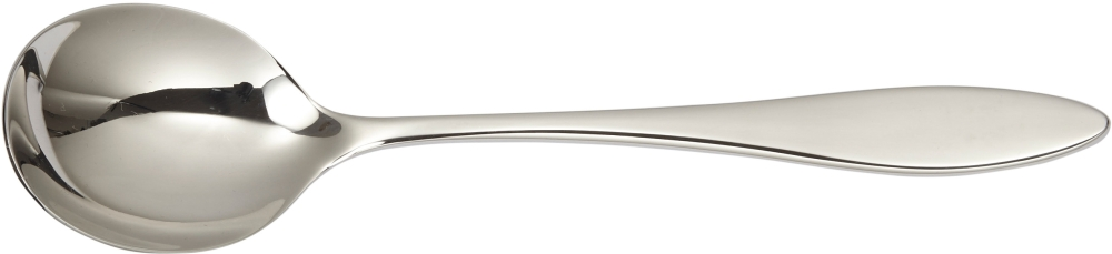 solex TERRA Suppenlöffel Edelstahl