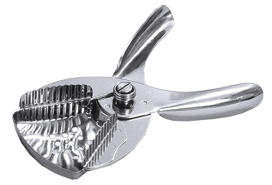 Zitronen-Segmentpresse