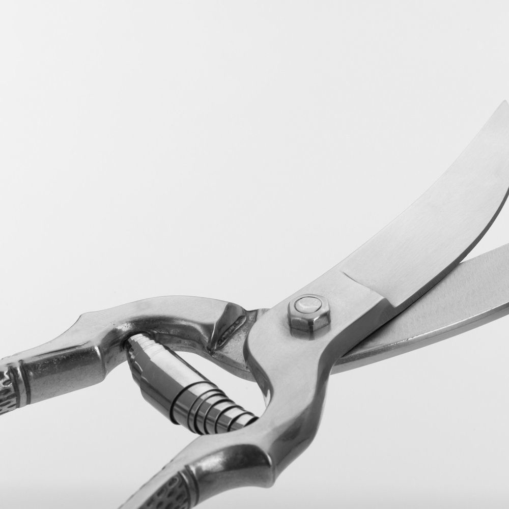 Westmark Geflügelschere »Classic«